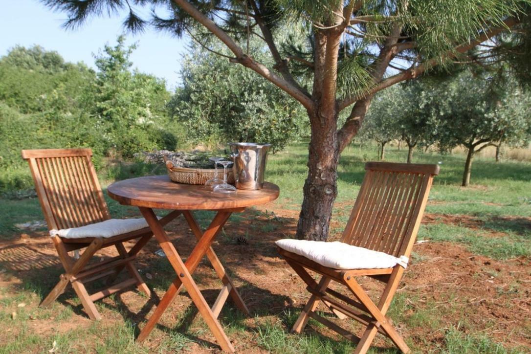 Premantura Olive Garden Villa Eksteriør billede